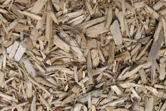 biomass boilers Liscard